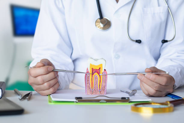 Best Emergency Broken Tooth Repair in Mcgovern, PA